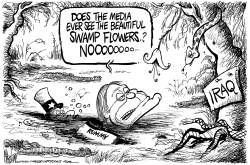 RUMMY AND THE SWAMP by Mike Lane