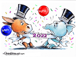 NEW YEAR 2022 MIDTERMS by Dave Granlund
