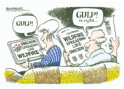 OMICRON AND WILDFIRES by Jimmy Margulies