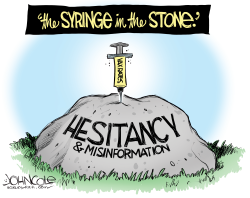 THE SYRINGE IN THE STONE by John Cole