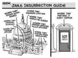 Insurrection Guide by Steve Sack