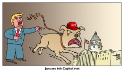 JANUARY 6TH CAPITOL RIOT by Arend van Dam