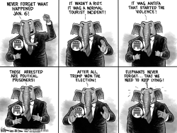 An Elephant remembers Jan. 6 by Kevin Siers
