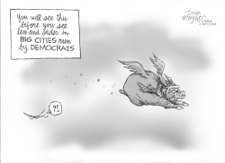 PIGS FLYING OVER DEMOCRAT CITIES? by Dick Wright