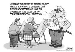 Red State Voting Rights by R.J. Matson