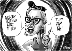 Sinema is all theater  by Dave Whamond