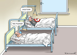 WHEN THE DOCTOR IS SICK by Marian Kamensky