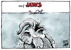 Jaws 22 by Jos Collignon