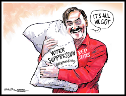 VOTER SUPPRESSION PILLOW by J.D. Crowe
