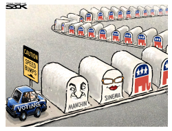 SUPPRESSION BUMPS by Steve Sack