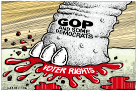 VOTER RIGHTS CRUSHED by Monte Wolverton