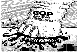Voter Rights Crushed by Monte Wolverton
