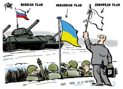 EUROPEAN FLAG IN UKRAINE by Tom Janssen