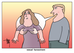 SEXUAL HARASSMENT by Arend van Dam