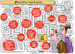 PANDEMIC PHASES by Dave Whamond