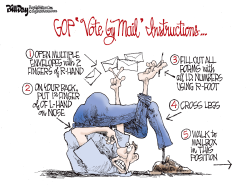 GOP 'VOTE BY MAIL' INSTRUCTIONS by Bill Day