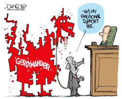 GOP GERRYMANDERING AND THE COURTS by John Cole