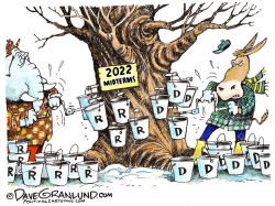 TAPPING 2022 VOTERS by Dave Granlund