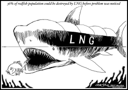 LNG SHARK by J.D. Crowe