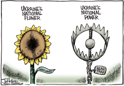 UKRAINE FLOWER by Joe Heller