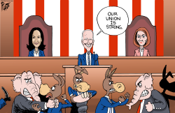 STATE OF THE UNION  by Bruce Plante