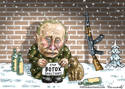AFTER THE CRISIS by Marian Kamensky