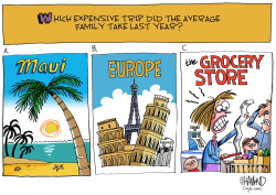 EXPENSIVE TRIPS by Dave Whamond
