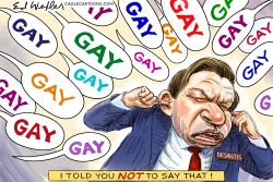 DONT SAY GAY GAY GAY DESANTIS by Ed Wexler