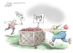 BIDEN'S FOOD INFLATION by Dick Wright