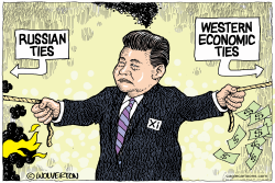CONFLICTED XI by Monte Wolverton
