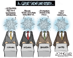 LOCAL PA - THE GREAT SNOWFLAKE DEBATE by John Cole