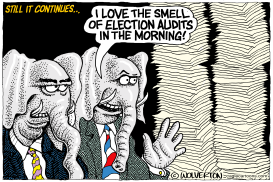 GOP ELECTION AUDITS CONTINUED by Monte Wolverton