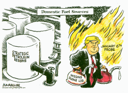 DOMESTIC FUEL SOURCES by Jimmy Margulies