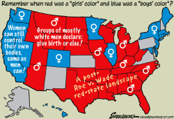 ABORTION RED AND BLUE MAP by Steve Greenberg