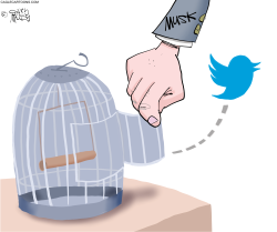 MUSK FREES TWITTER by Gary McCoy
