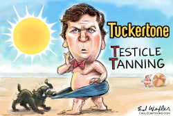 TUCKERTONE TESTICLE TANNING by Ed Wexler