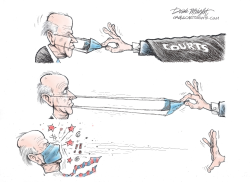 COURT MASK RULING by Dick Wright
