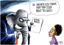 RIGHT TO CHOOSE by Dave Whamond