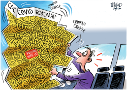 CDC COVID ROADMAP by Dave Whamond
