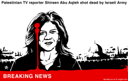 TV REPORTER SHOT DEAD BY ISRAELI TROOPS by Emad Hajjaj