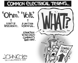ELECTRIC RATE HIKES by John Cole