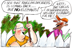 RETURN OF RINGLING BROTHERS by Randall Enos