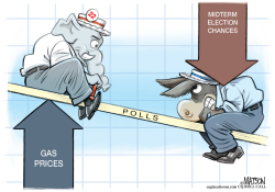 GAS PRICES AND POLITICAL SEESAW by R.J. Matson