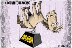 DEM MIDTERM FOREBODING by Monte Wolverton