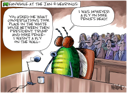 MEANWHILE AT THE JAN. 6 HEARINGS by Dave Whamond