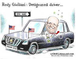 DRUNK RUDY 2020 RESULTS by Dave Granlund
