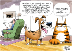 DOGS CAN DETECT COVID by Dave Whamond