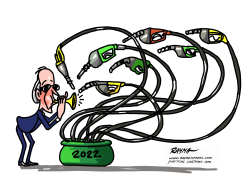 BIDEN AND GAS PRICES by Rayma Suprani