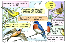 NPR SONGBIRDS by Taylor Jones