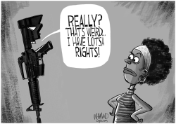ABOUT RIGHTS  by Dave Whamond